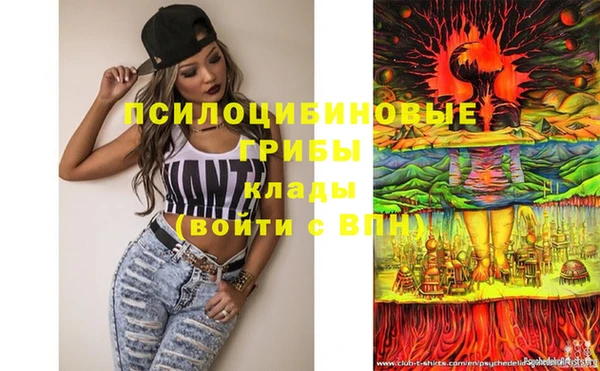 молекула духа Новокубанск