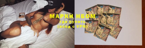 молекула духа Новокубанск