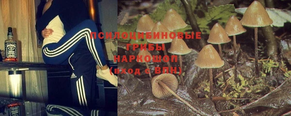 стаф Нязепетровск