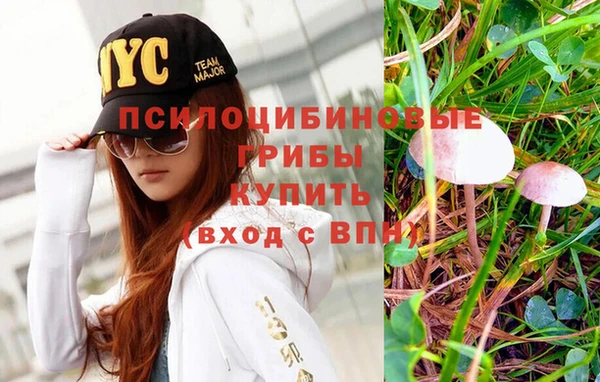 кокаин VHQ Новозыбков