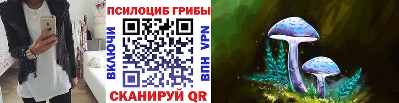 Псилоцибиновые грибы Psilocybine cubensis  цена наркотик  Касимов 