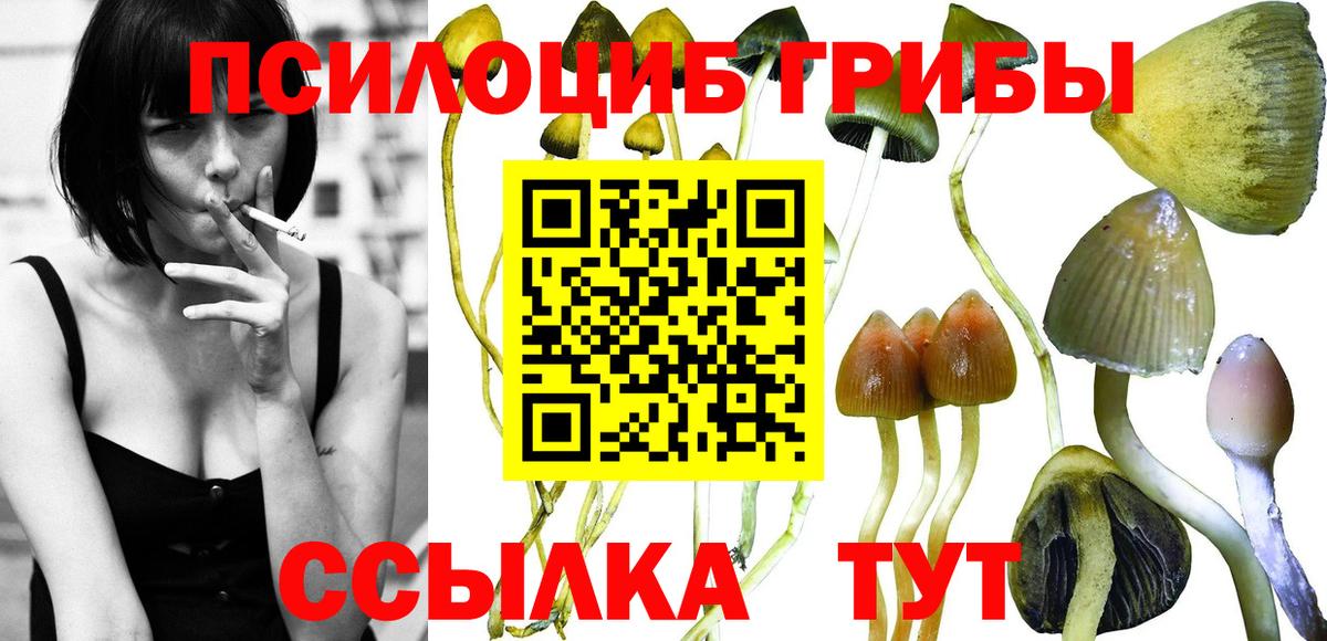 Касимов  Галлюциногенные грибы Magic Shrooms  Псилоцибиновые грибы Magic Shrooms  Вход с VPN 